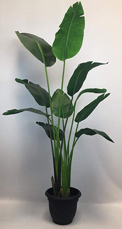 Silk Tree Warehouse Company Inc One 5 Foot Tall Artificial Bird of Paradise Palm with Free 10 inch Black Decorative Pot