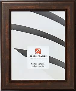 Craig Frames Arthur Picture Frame, 20 x 20 Inch, Aged Copper