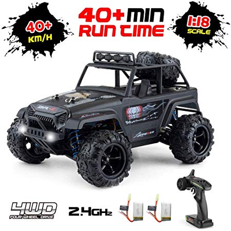 Remote Control Car,1:18 Scale 4WD Scale 40km/h High Speed Off Road RC Truck, 2.4Ghz Radio Controlled All Terrain Waterproof Truck.with 2 Rechargeable Batteries,45 Minutes of Game time