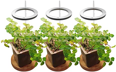 Small Grow Light, Full Spectrum Led Mini Desk Grow Light Height Adjustable Indoor Plant Light 89mm/3.1"