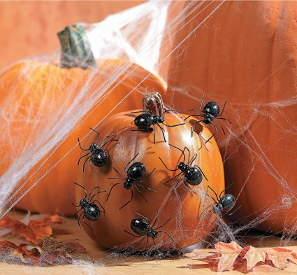 Halloween Spider Pumpkin Push-Ins Pack of 12