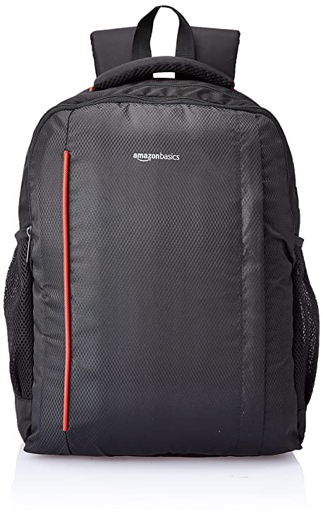 AmazonBasics 20 ltrs (35 Cms)backpack(CLB-5_black)