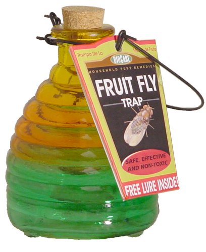 Springstar Glass Fruit Fly Trap
