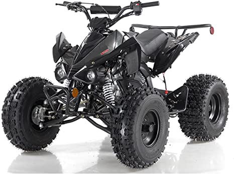 125cc ATV Quad Youth 4 Wheeler Adults ATVs Quads Middle Size 4 Wheelers (Black)