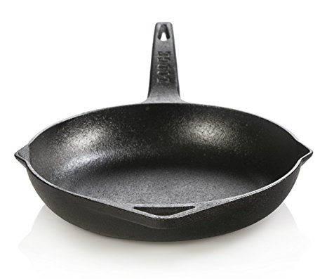 Lodge Dishwasher Safe Seasoned Cast Iron Skillet - 9 Inch Rust Resistant Ergonomic Cast Iron Frying Pan with Assist Handle (Made in USA)