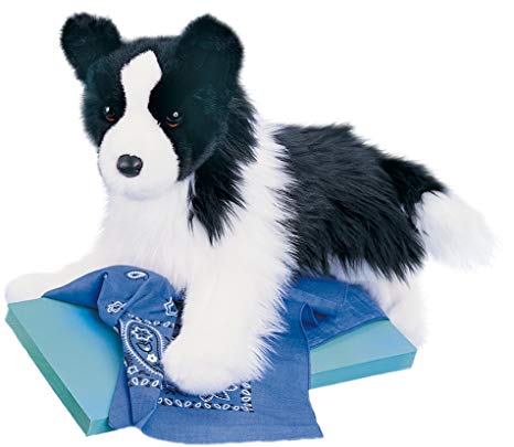 Douglas Chase Border Collie