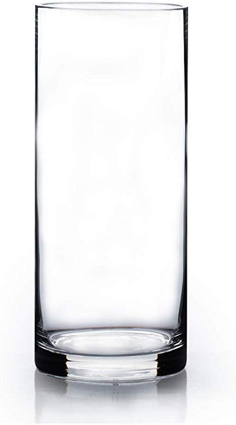 WGV Cylinder Vase, 4" W x 10" H, Floral Container, Glass Centerpiece for Wedding Party Event, Home Office Decor, Clear, 1 Piece