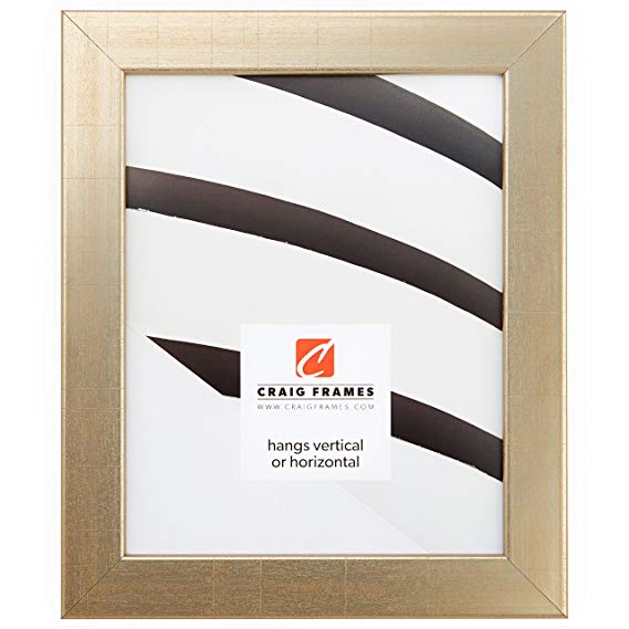 Craig Frames 2231100 20 by 26-Inch Picture Frame, Smooth Wrap Finish, 1.25-Inch Wide, Vintage Gold