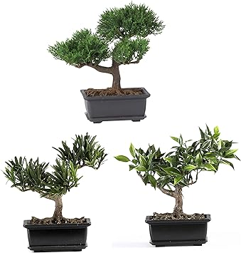 Nearly Natural 8.5in. Bonsai Silk Plant Collection (Set of 3)