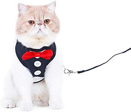 Delifur Cat Harness with Leash Adjustable Gentleman Suit Bow Tie Decoration for Cats & Small Dogs