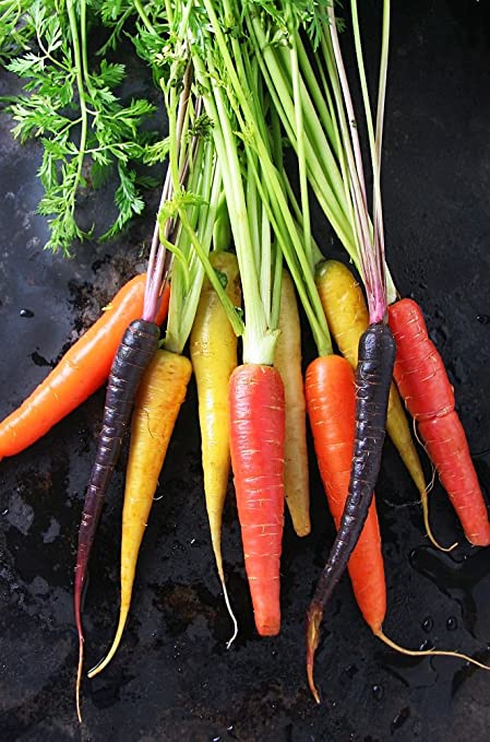 Rainbow Blend Carrot - 100 Seeds