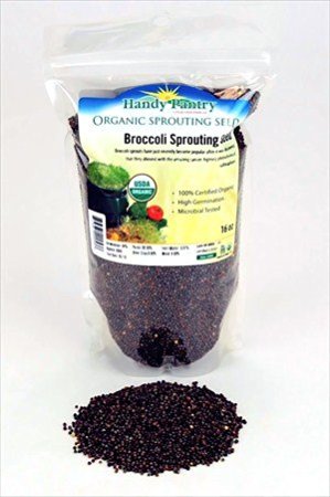 Organic Broccoli Sprouting Seeds - 16 Oz (1 Lbs)- Organic- Edible Seed, Gardening, Hydroponics, Growing Salad Sprout & Food Storage- Brocolli Sprouts Contain Sulforaphane