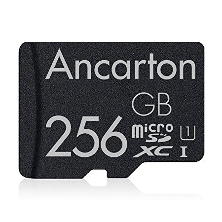 Memory Card 256GB Class 10 - with sd Card Adapter (Standard Packaging)