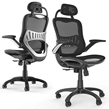 Mesh Ergonomic Office Chair, Computer Desk Chairs Swivel Task Chair with Lumbar Support and flip-up Armrests - Height and Backrest Adjuster