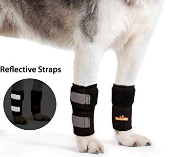 Pair NeoAlly Dog & Cat Front Leg Braces Carpal Support Safety Reflective Straps Front Hock Joint, Cruciate Ligament, Wound Healing Loss Stability from Arthritis - 3 Colors (Pair)