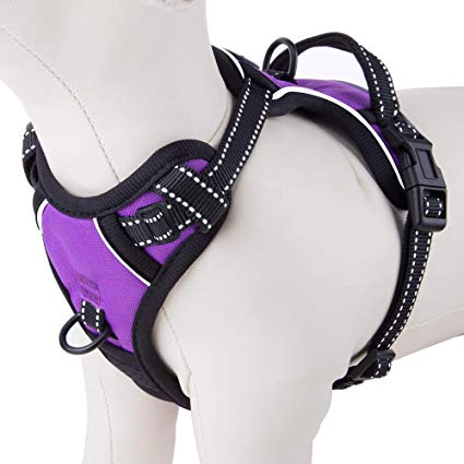 PHOEPET No Pull Dog Harness Reflective Adjustable with 2 Metal Leash Hooks and Soft Training Handle [Over The Head Design]