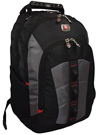 SwissGear® Skyscraper 16" Padded Laptop Backpack/School Travel Bag