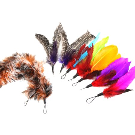 ColorPet Bird Replacement Feathers and Soft Furry For Interactive Cat and Kitten Toy Wands Super Refill, Assorted Colors Cat Toys 9PCS