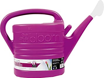 Bond 5017BL Bloom Watering Can (Assorted 12), 2 Gallon