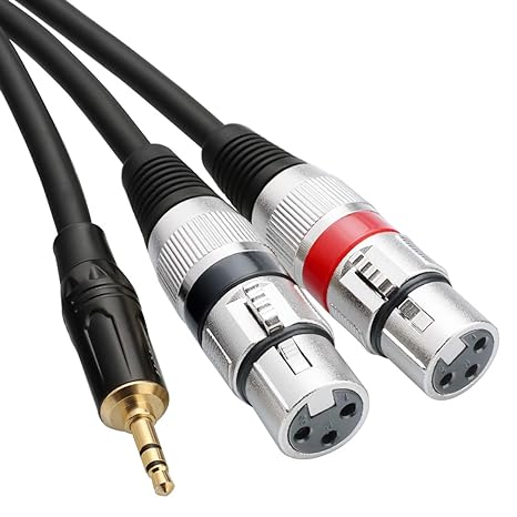 TISINO Dual XLR to 3.5mm Stereo Mic Cable, 2 XLR Female to 1/8 Inch Mini Jack Y-Splitter Breakout Lead Microphone Cord - 6.6 feet