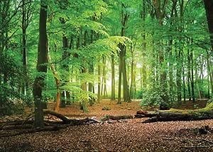 SJOLOON 10X8ft Spring Green Forest Thin Vinyl Photo Backdrops Camping Themed Baby Shower Photography Background Studio Props 10516