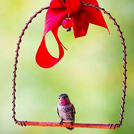Best Copper Hummingbirds Swing - Perfect for Nectar Feeder, Hanger, & Stand