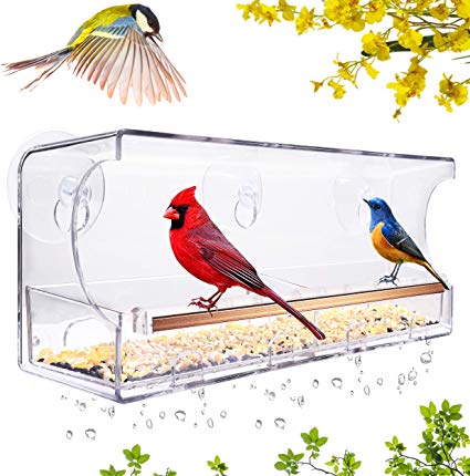 Window Bird Feeder, Anti-shock Anti-pressure Very Strong, Rounded Corners Very Safe, Integral Moulding of PC Materials. Removable Tray with Drain Holes and Suction Cups, Great Gift, Birdhouse Kits