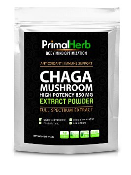 Wildcrafted Chaga Mushroom Extract- Potent 301 Plus 40 Polysaccharides - Powerful Antioxidant - Immune Support - 120 Servings - 100 Guarantee
