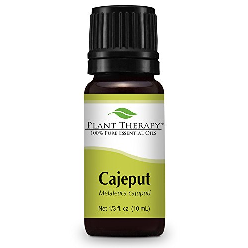 Cajeput Essential Oil. 10 ml (1/3 oz). 100% Pure, Undiluted, Therapeutic Grade.