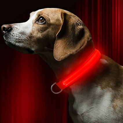 BSeen LED Dog Collar USB Rechargeable Light Up Safety Pet Collar with 2 Glowing Modes Adjustable Soft Nylon Webbing Great for Small Medium Large Dogs