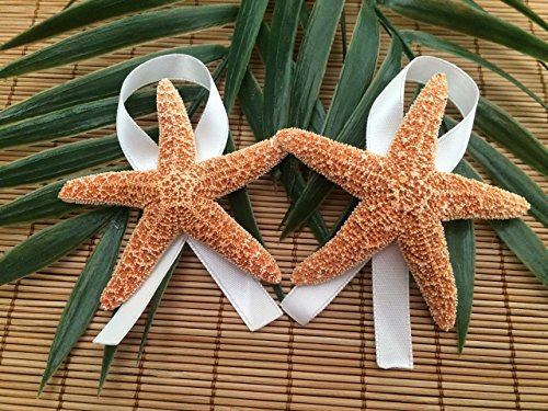 Men's Sugar Starfish Beach Wedding Boutonnieres with Ribbon, 2