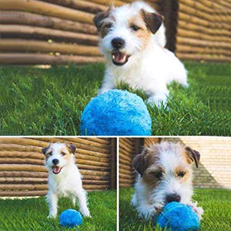 Magic Roller Ball Toy Automatic Roller Ball Magic Ball Dog Cat Pet Toy (1 Rolling Ball   4 Color Ball Cover)