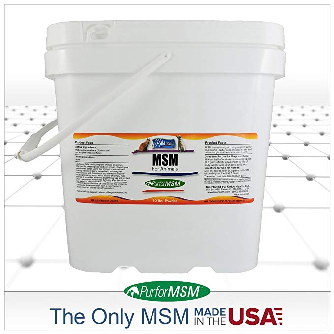 MSM Powder (PurforMSM) for Equine and Canine