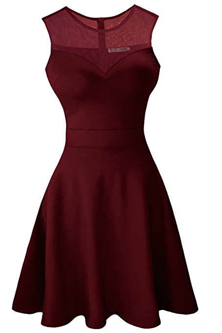 Heloise Women's A-Line Sleeveless Pleated Little Cocktail Party Dress