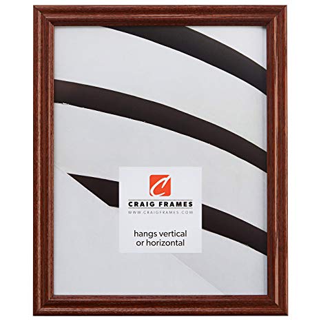 Craig Frames 200ASH 14 by 17-Inch Picture Frame, Wood Grain Finish, 0.75" Wide, Walnut Brown