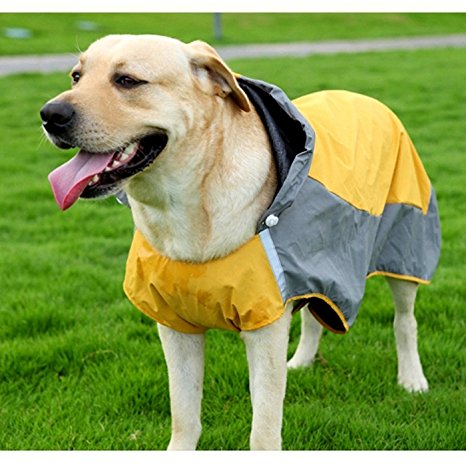 Alfie Pet by Petoga Couture - Berny Raincoat (for Dogs and Cats)