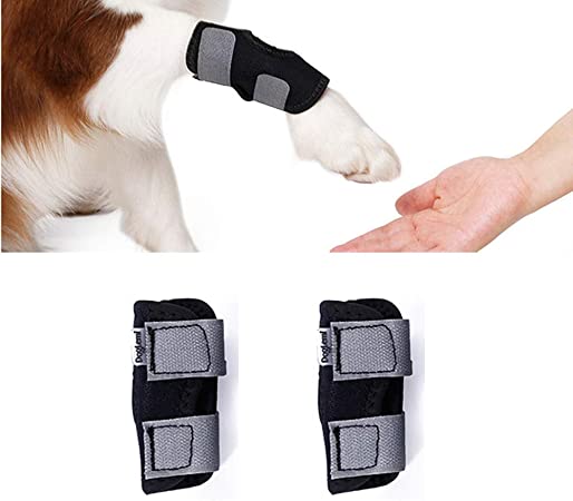 Rantow Dog Joint Brace Canine Rear Leg Hock Wraps Arthritis Heals Protector Prevents Injuries Sprains Helps Loss Stability Small Medium Large Short-Leg Dogs