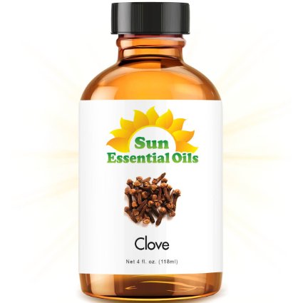 Clove (Large 4 ounce) Best Essential Oil