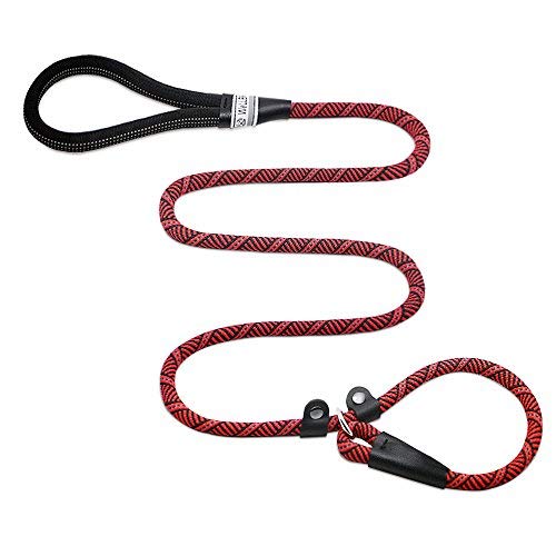Wellbro Slip Lead Dog Leash, 6 ft Reflective Nylon Rope Leash with Two Leather Slides, Easy to Slip On/Off, Perfect for Control of Medium/Large Dogs