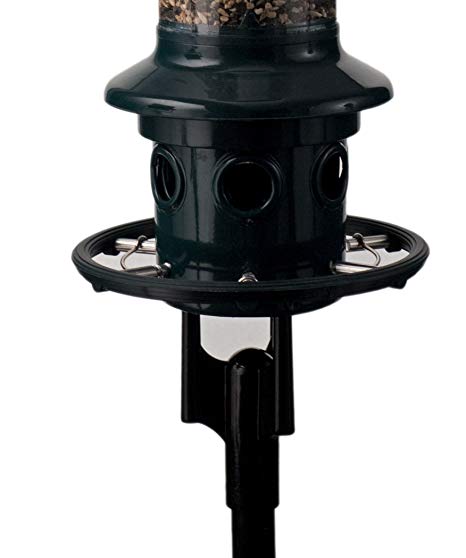 Brome Bird Care BD1025 Squirrel Buster Plus Pole Adapter Kit