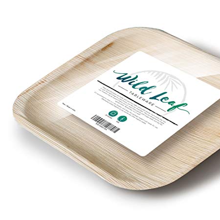 Disposable Palm Leaf Plates, 25 Pack / 8". Compostable, Biodegradable Heavy Duty Appetizer Party Plates - Comparable to Bamboo Wood Fiber - Elegant and Eco Friendly Plant Based Tableware by Wild Leaf