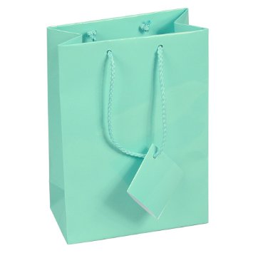 10 pcs Medium Fancy Robin's Egg Blue Glossy Finish Shopping Paper Gift Sales Tote Bags with Blank Message Tag 4.75" x 2.5" x 6.75"