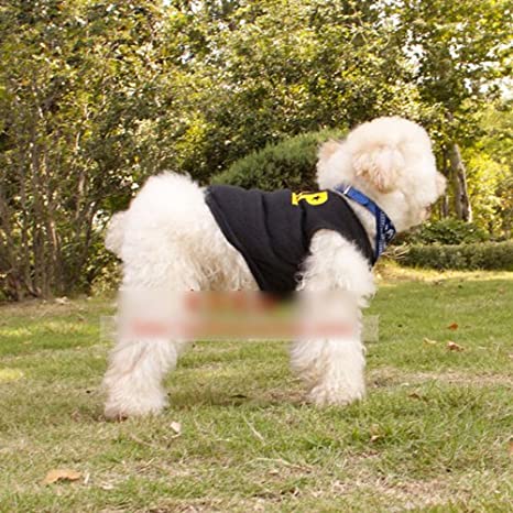 HuntGold Pet Puppy Dog Doggie Coat Apparel Clothes T-Shirt Dresses Vest Sweater