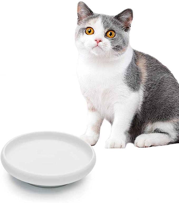 ComSaf Cat Food Water Bowl, Wide Shallow Ceramic Cat Dish, Non Spill Pet Bowl, 10oz, White, Pack of 1