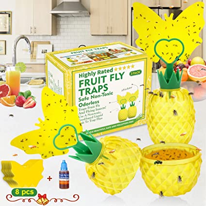 Fruit Fly Trap for Indoors, Fruit Fly Trap with Yellow Double Side Sticker, Fruit Fly Killer, Non-Toxic Fly Catcher Gnats Trap Comes with Fruit Fly Attractants for Home/Kitchen/Dining Room (2 Pack)