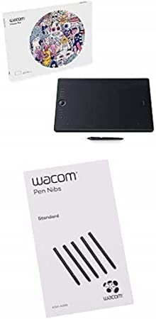 Wacom Intuos Pro Pen (Size: L) / Large Professional Graphic Tablet 2 with Replacement Tips / Compatible with Windows & Apple, K100912 with Nibs, Black, 5 pack