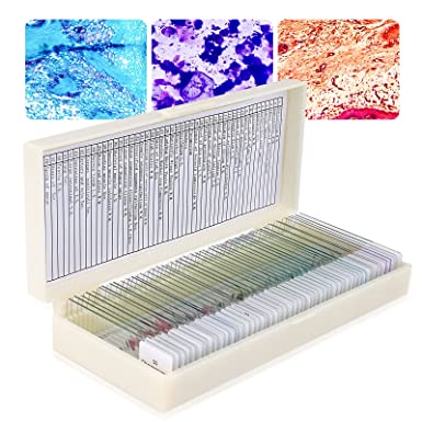 Microscope Slides Prepared 50Pcs-Microscope Slides for Kids with Lab Specimens Biological Sample with Insects Plants Animals Bacteria Education Science