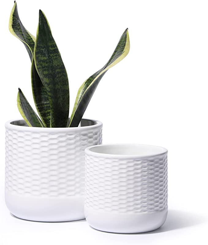 Ceramic Pots - POTEY 6 and 5 Inch Indoor Plant Pots with Drainage Hole for Plants - 812, Set of 2, White