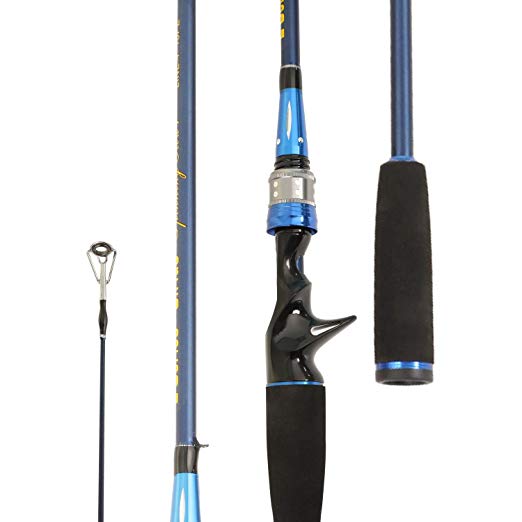 Entsport E Series - Sirius Casting Rod 2-Piece 7-Feet Graphite Portable Baitcast Rod Inshore Baitcasting Fishing Rod Freshwater Baitcaster Rod