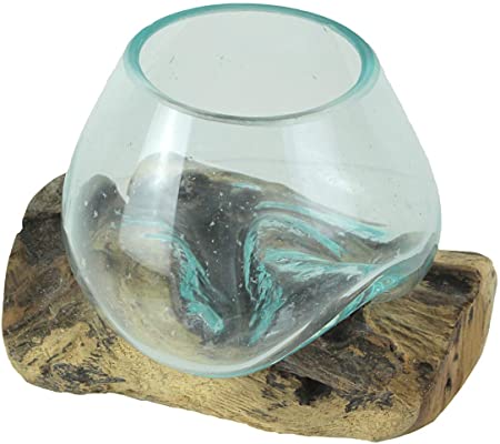 Things2Die4 Blown Molten Glass On Teak Driftwood Decorative Bowl/Mini Terrarium